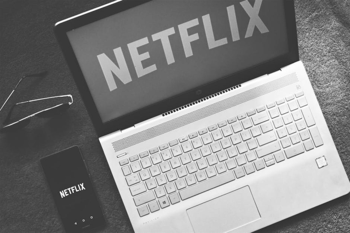 Netflix logo