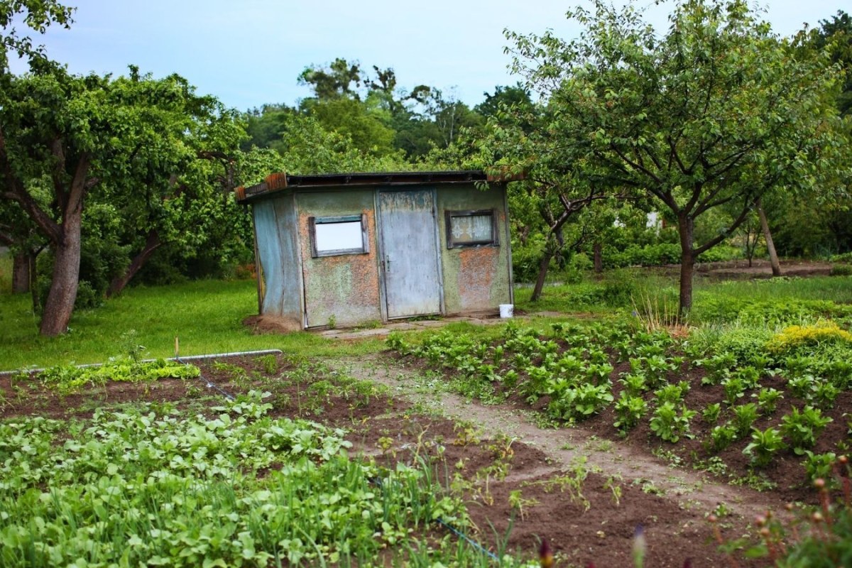 truck inspection plants